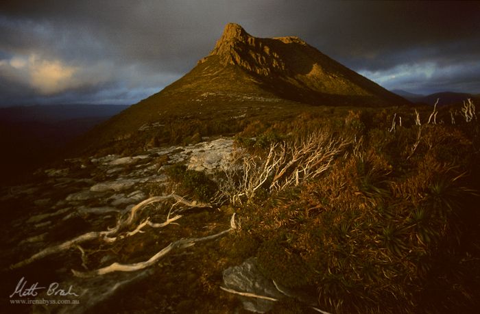 Mt Victoria Cross Southern Ranges.image