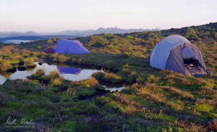 The unsuspecting tents.image