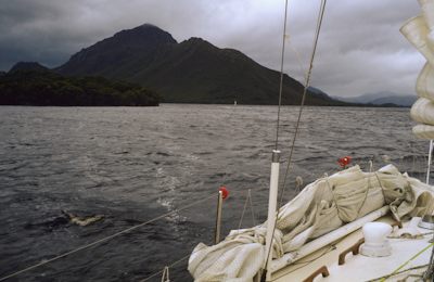 Mount Rugby from Bathurst Harbour.image