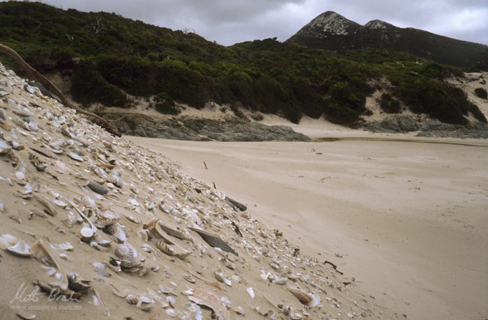 Giant midden and dunes.image