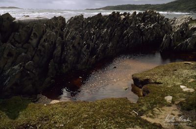 Jagged Rocks near Wreck Bay.image