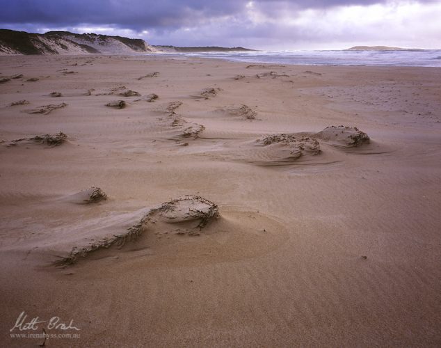 The windswept Towterer Beach and Hobbs Island.image