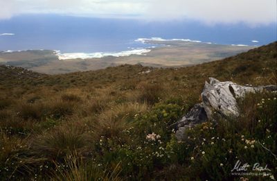 Wreck Bay from Mount Hean.image