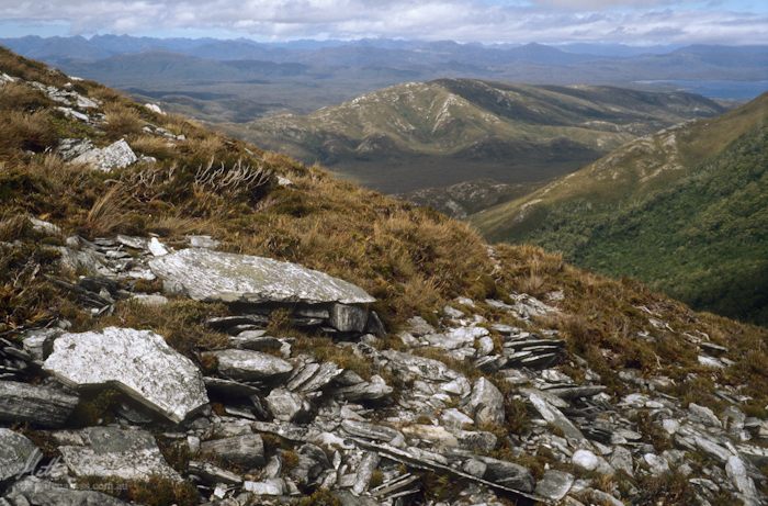 Blackwater Creek from Mount Hean.image