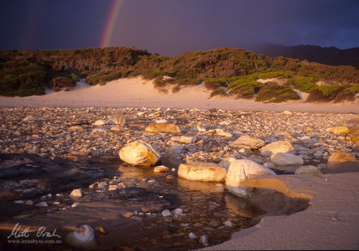 The pot of gold. Trepanner Creek. image