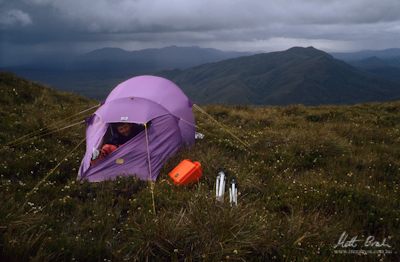 Westerly squalls pass over Mt. Gaffney.image