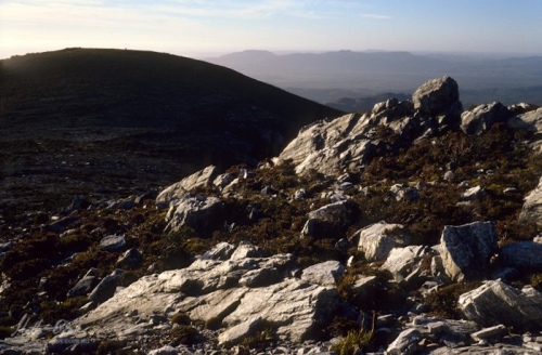 The western peak of the Propsting Range and distant Lawson Range.image