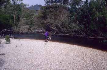 Shingle Bank on the Davey River.image