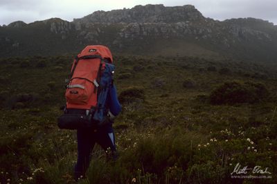 Matt ascending Greystone Bluff from the Davey River Valley.image