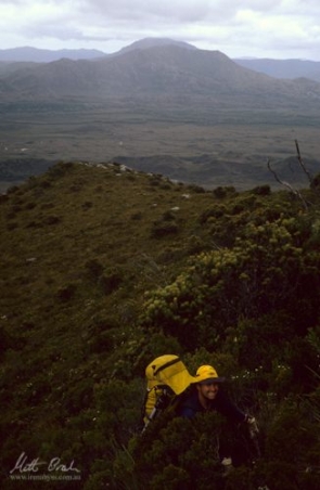 John Mclaine ascending Greystone Bluff.image