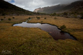 A brief stop at Pigsty Ponds with views to The Cockscomb on Mt La Perouse.