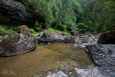 Salisbury River. Tasmania